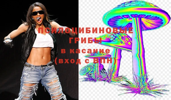 прущий лед Дмитриев