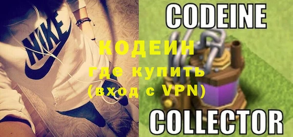 стаф Тутаев