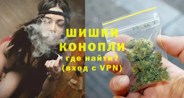 прущий лед Дмитриев
