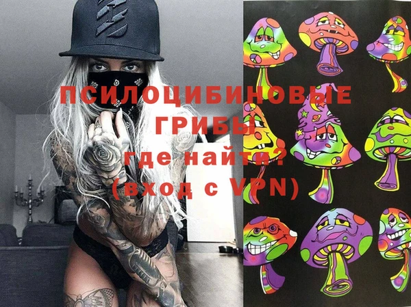 прущий лед Дмитриев