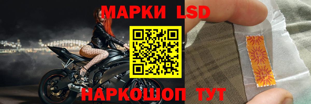 Бошки Шишки Осинники