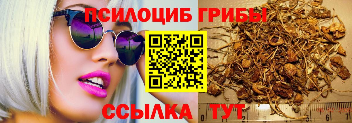 Псилоцибиновые грибы Magic Shrooms Осинники