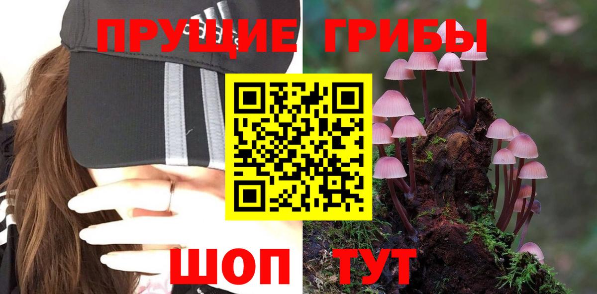 Кодеин  ГАШ  Вход с VPN  Меф кристаллы  Осинники  Канабис 